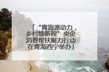 “青海源动力，乡村焕新程”央企消费帮扶聚力行动在青海西宁举办