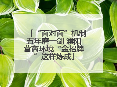 “面对面”机制五年磨一剑 濮阳营商环境“金招牌”这样炼成