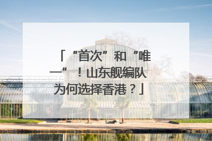 “首次”和“唯一”！山东舰编队为何选择香港？
