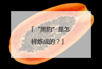 “黑豹”是怎样炼成的？