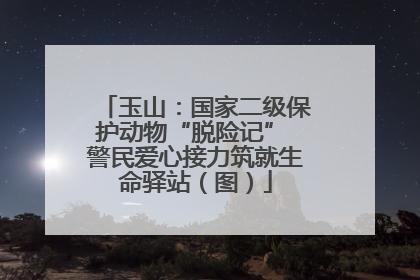 玉山：国家二级保护动物“脱险记” 警民爱心接力筑就生命驿站（图）