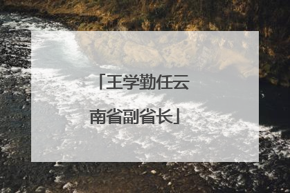 王学勤任云南省副省长