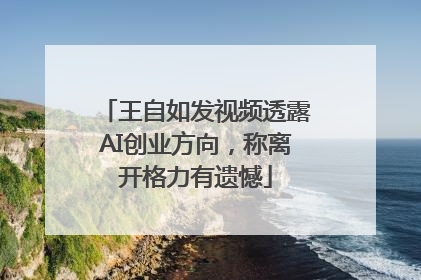 王自如发视频透露AI创业方向，称离开格力有遗憾
