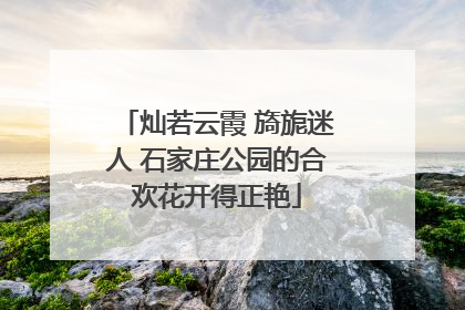 灿若云霞 旖旎迷人 石家庄公园的合欢花开得正艳