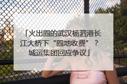火出圈的武汉杨泗港长江大桥下“圈地收费”？城运集团回应争议