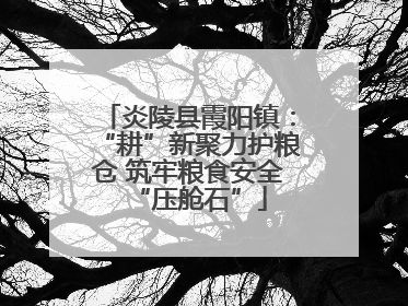 炎陵县霞阳镇：“耕”新聚力护粮仓 筑牢粮食安全“压舱石”