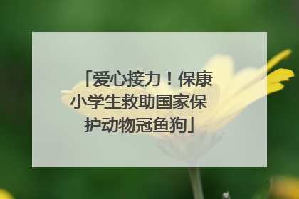 爱心接力！保康小学生救助国家保护动物冠鱼狗