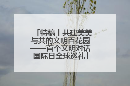 特稿丨共建美美与共的文明百花园——首个文明对话国际日全球巡礼