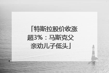 特斯拉股价收涨超3%：马斯克父亲劝儿子低头