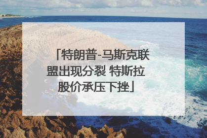 特朗普-马斯克联盟出现分裂 特斯拉股价承压下挫
