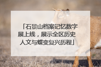 石景山档案记忆数字展上线，展示全区历史人文与蝶变复兴历程