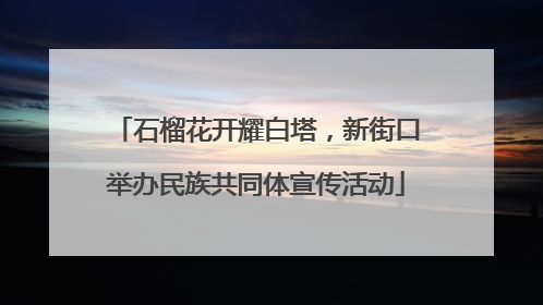石榴花开耀白塔，新街口举办民族共同体宣传活动