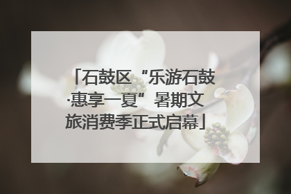石鼓区“乐游石鼓·惠享一夏”暑期文旅消费季正式启幕