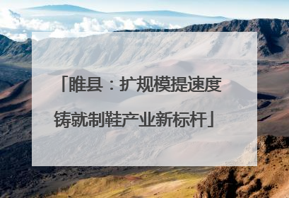 睢县：扩规模提速度 铸就制鞋产业新标杆