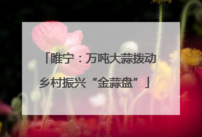 睢宁：万吨大蒜拨动乡村振兴“金蒜盘”