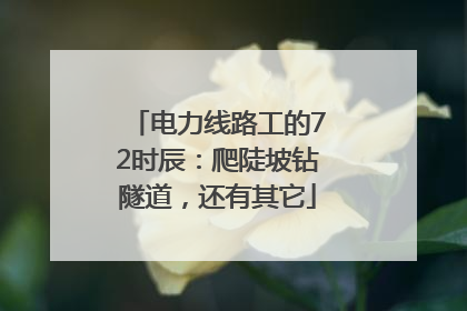电力线路工的72时辰：爬陡坡钻隧道，还有其它