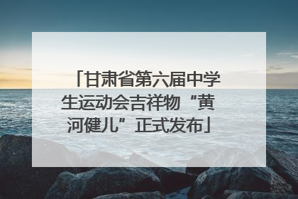 甘肃省第六届中学生运动会吉祥物“黄河健儿”正式发布