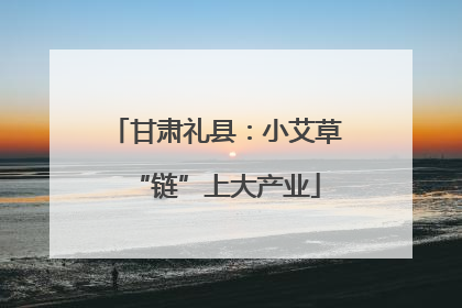 甘肃礼县：小艾草“链”上大产业