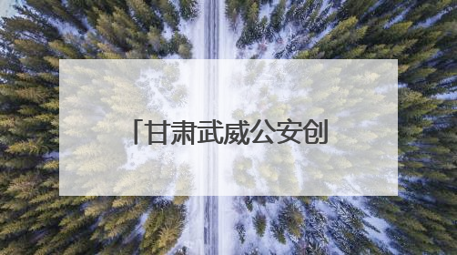 甘肃武威公安创新“旅游警务+N”模式 打造平安旅游新标杆
