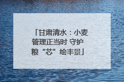 甘肃清水：小麦管理正当时 守护粮“芯”绘丰景