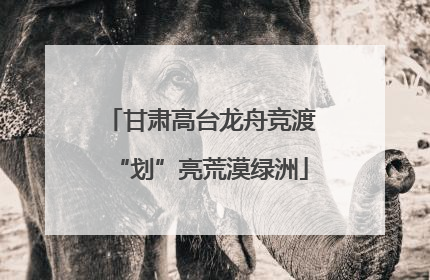甘肃高台龙舟竞渡“划”亮荒漠绿洲