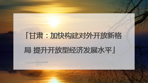 甘肃：加快构建对外开放新格局 提升开放型经济发展水平
