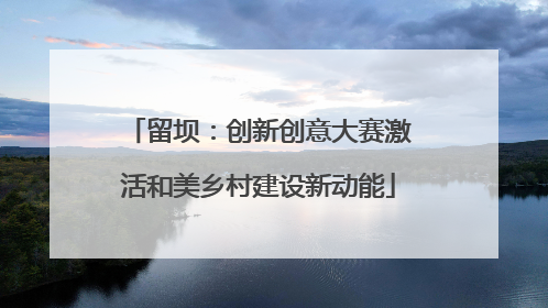 留坝：创新创意大赛激活和美乡村建设新动能