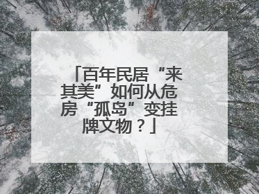 百年民居“来其美”如何从危房“孤岛”变挂牌文物？
