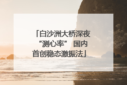 白沙洲大桥深夜“测心率” 国内首创稳态激振法