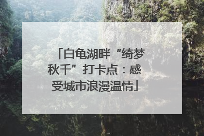 白龟湖畔“绮梦秋千”打卡点：感受城市浪漫温情