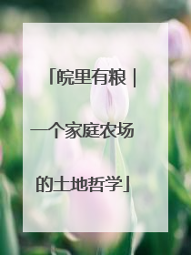 皖里有粮｜一个家庭农场的土地哲学