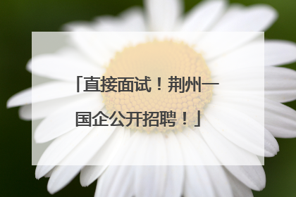直接面试！荆州一国企公开招聘！
