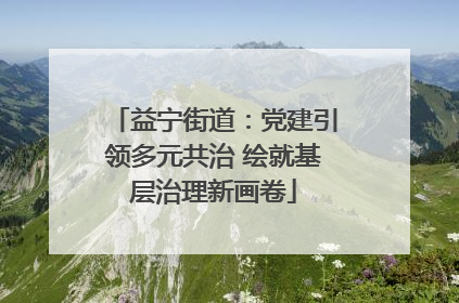 益宁街道：党建引领多元共治 绘就基层治理新画卷