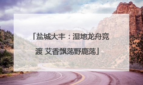 盐城大丰：湿地龙舟竞渡 艾香飘荡野鹿荡
