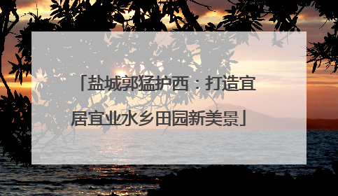 盐城郭猛护西：打造宜居宜业水乡田园新美景