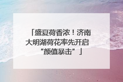 盛夏荷香浓！济南大明湖荷花率先开启“颜值暴击”