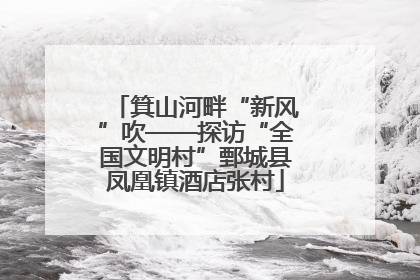 箕山河畔“新风”吹——探访“全国文明村”鄄城县凤凰镇酒店张村