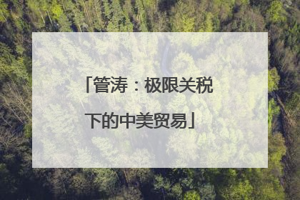 管涛：极限关税下的中美贸易