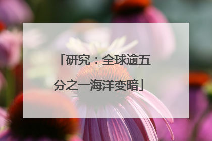 研究：全球逾五分之一海洋变暗