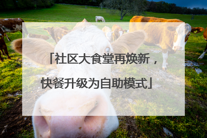 社区大食堂再焕新，快餐升级为自助模式