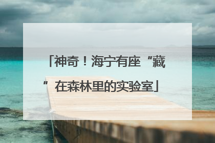 神奇！海宁有座“藏”在森林里的实验室