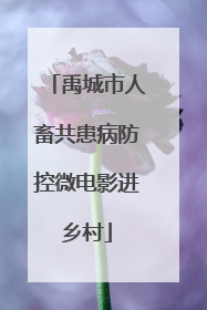 禹城市人畜共患病防控微电影进乡村