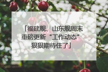 福建舰、山东舰周末重磅更新“工作动态” 狠狠期待住了