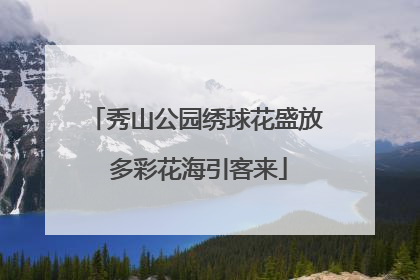 秀山公园绣球花盛放 多彩花海引客来