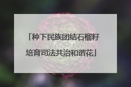 种下民族团结石榴籽 培育司法共治和谐花