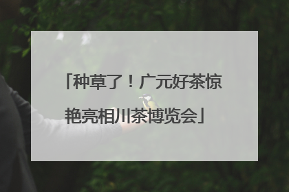 种草了！广元好茶惊艳亮相川茶博览会
