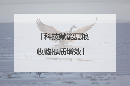 科技赋能夏粮收购提质增效