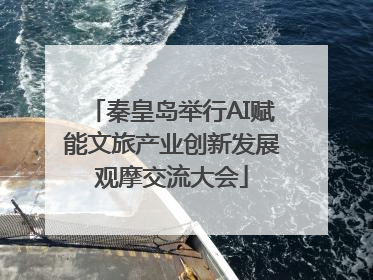 秦皇岛举行AI赋能文旅产业创新发展观摩交流大会