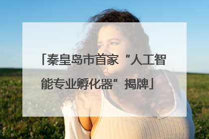 秦皇岛市首家“人工智能专业孵化器”揭牌