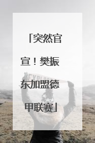 突然官宣！樊振东加盟德甲联赛